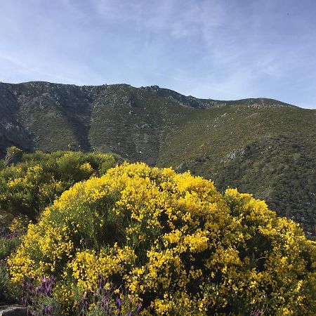 Casa Rural Sierra De Tormantos Guijo de Santa Bárbara Εξωτερικό φωτογραφία