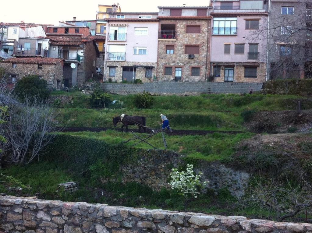 Casa Rural Sierra De Tormantos Guijo de Santa Bárbara Εξωτερικό φωτογραφία