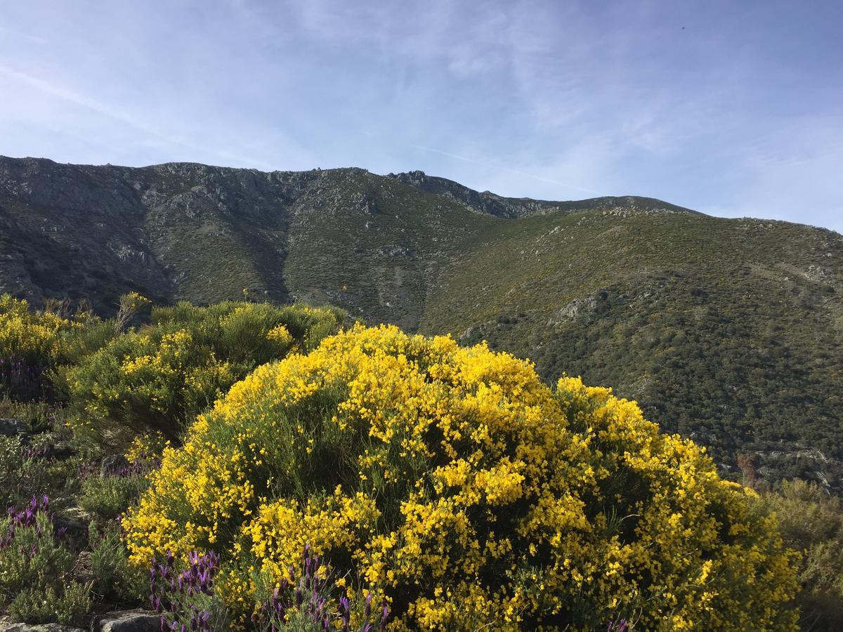 Casa Rural Sierra De Tormantos Guijo de Santa Bárbara Εξωτερικό φωτογραφία